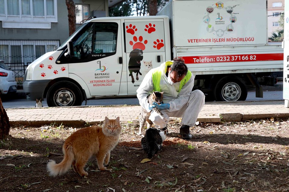 Bayraklı Belediyesi, soğuk kış günlerinde de sokak hayvanlarını sahipsiz bırakmıyor.