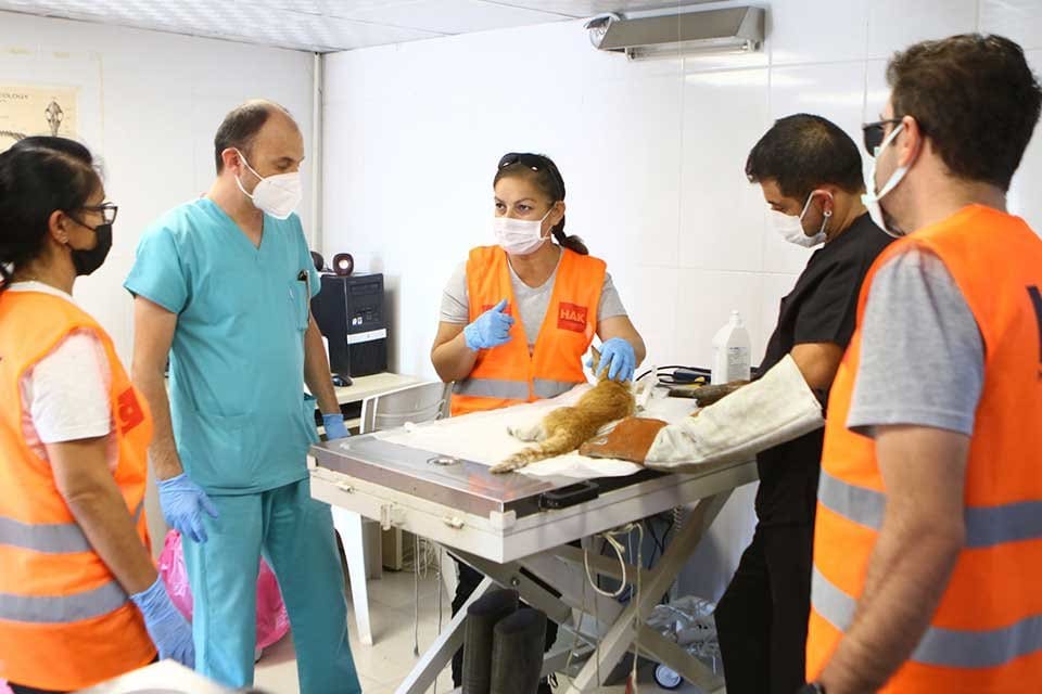Bayraklı Belediyesi Veteriner İşleri M&uuml;d&uuml;rl&uuml;ğ&uuml;, Hayvan Arama Kurtarma Derneği iş