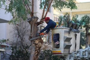 Bayraklı Belediyesi Park ve Bahçeler Müdürlüğü ekipleri, ilçe genelinde uzayan