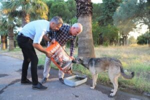 Menderes Belediyesi tarafından sokak hayvanlarına mama desteği ger&ccedil;ekleştirildi. Menderes Belediyesi