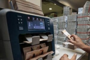 Bankaların sorunlu alacaklarının y&ouml;netim ve azaltım faaliyetleri olarak tanımlanan &ccedil;&ouml;z&uuml;mleme
