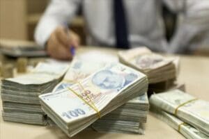 BDDK, kısaca d&ouml;viz varlığı 15 milyonun &uuml;st&uuml;nde olan şirketlerin T&uuml;rk
