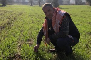 Beydağ  Belediye Başkanı Feridun Yılmazlar, 2 bin yıllık ata tohumu