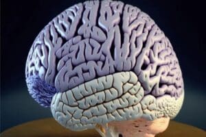 Ge&ccedil;tiğimiz yıllarda kafa nakli projeleriyle g&uuml;ndeme gelen İtalyan doktor, &ccedil;ok