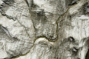 ABD'li bilim insanları, 15 bin yıllık Tibet buzullarında 33 vir&uuml;s