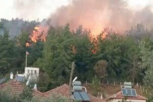 Muğla'nın Ula il&ccedil;esinde, 1 hektar ormanın k&uuml;l olduğu yangınla ilgili