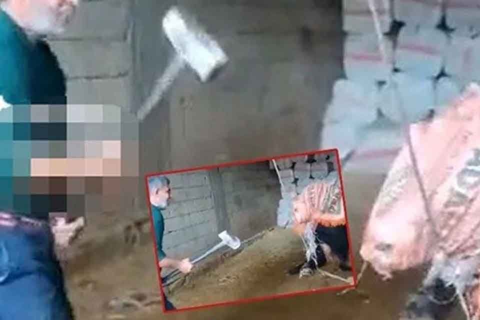 Mardin'de keseceği boğayı balyozla başına vurarak &ouml;ld&uuml;renle birlikte 2 kişi