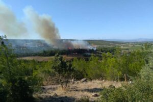 İzmir'in Bergama ilçesindeki ağaçlandırma sahasında yangın çıktı. Havadan ve karadan