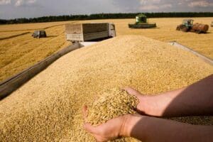 Birleşmiş Milletler D&uuml;nya Gıda Programı, (WFP) Ukrayna limanlarında depolanan tahılların