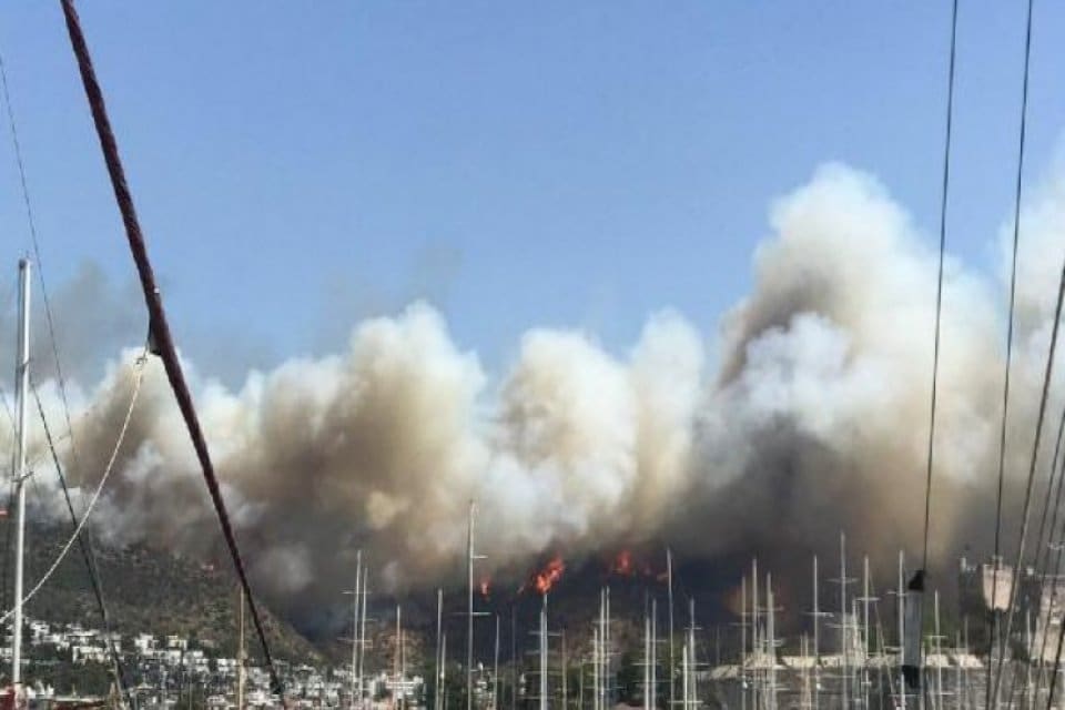 T&uuml;rkiye'yi saran orman yangınlarına bir yenisi daha eklendi. Bodrum'da bir