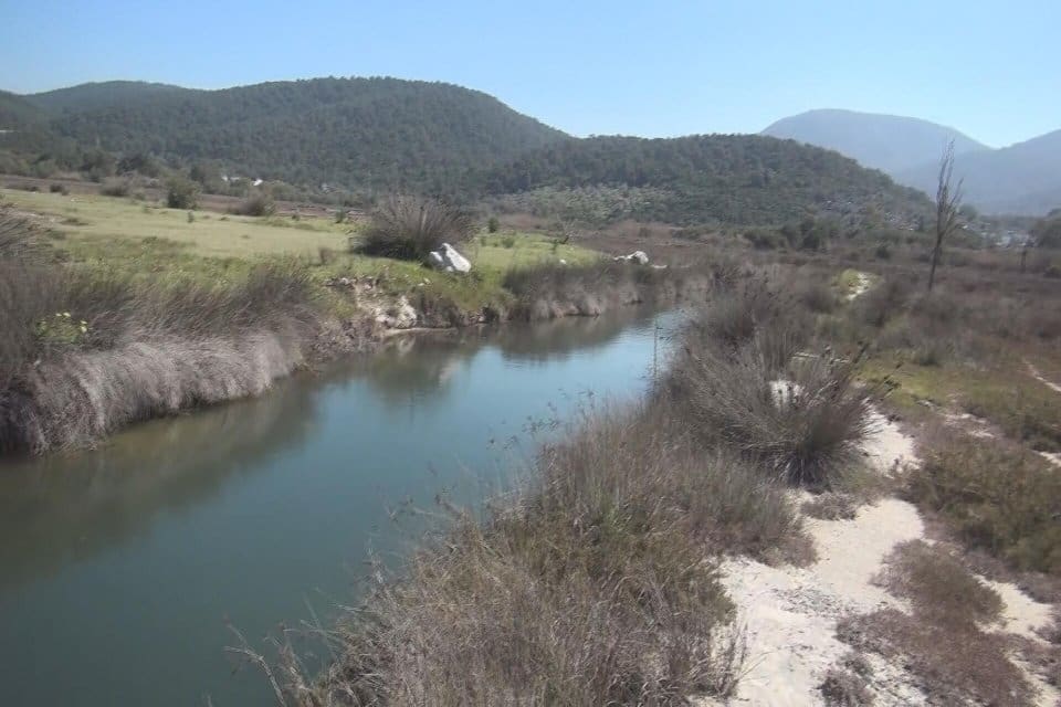 Muğla'nın Bodrum il&ccedil;esinde 60'tan fazla kuş ve balık t&uuml;r&uuml;ne ev