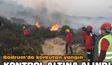 Bodrum'da korkutan orman yangını kontrol altına alındı