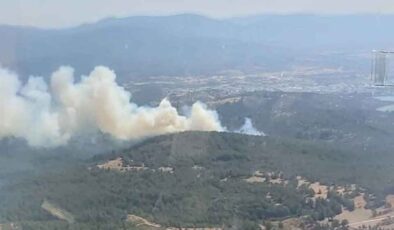 Bodrum'da korkutan orman yangını kontrol altında