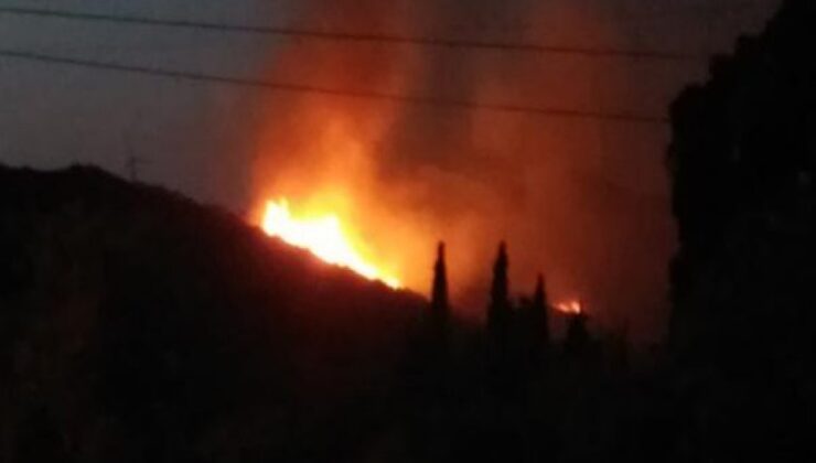 Bodrum'da orman yangını! 10 hektar alan zarar gördü