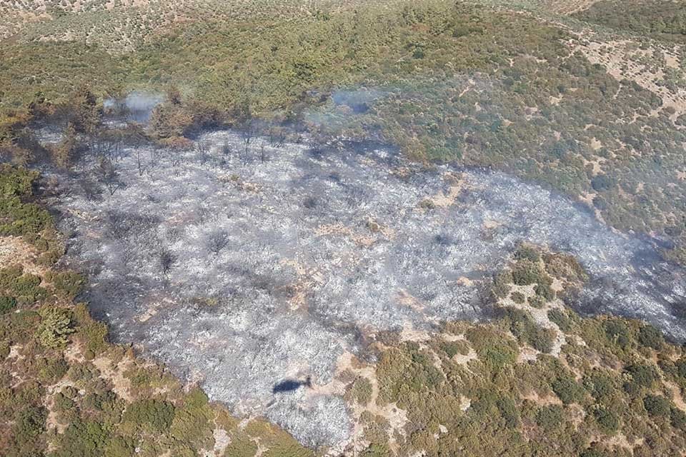 Muğla'nın Bodrum il&ccedil;esine bağlı &Ccedil;iftlikk&ouml;y yakınları ile Milas il&ccedil;esine bağlı