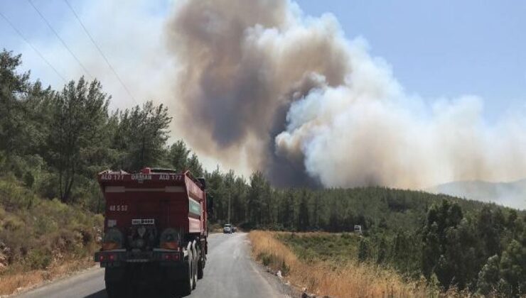 Bodrum'da yine orman yangını çıktı
