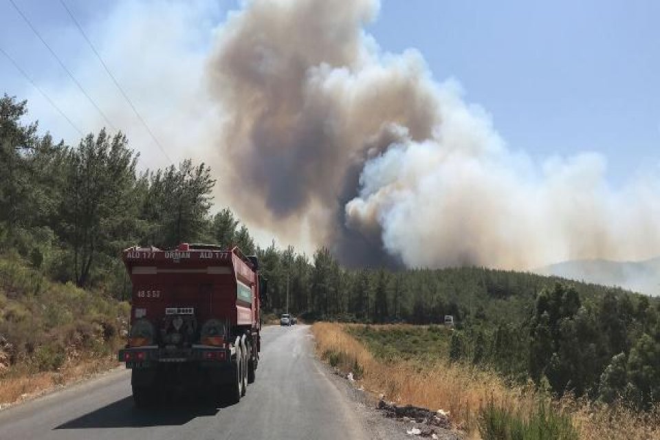 Muğla'nın Bodrum ilçesinde çıkan orman yangınlarına müdahale ediliyor. Yangın Bodrum'un merkezi