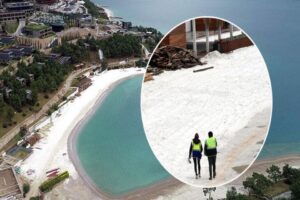 Bodrum Kent Konseyi Y&ouml;netim Kurulu &Uuml;yesi Mir Bahattin Demir yaz