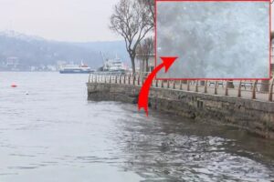 İstanbul Boğazı&rsquo;nın kıyı kesimlerinde g&ouml;r&uuml;len denizanası yoğunluğunun nedeninin hava sıcaklığı