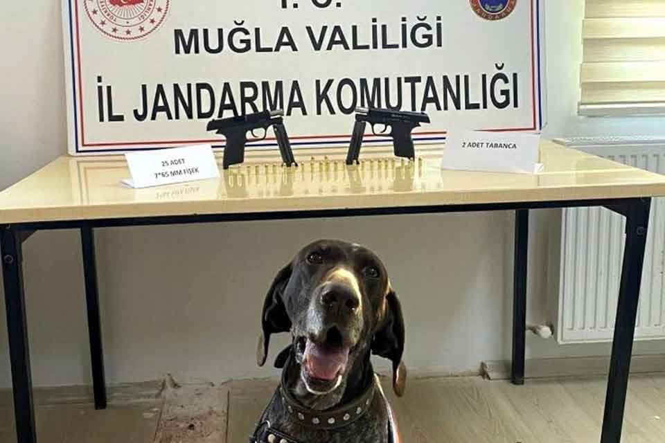 Muğla'nın Marmaris il&ccedil;esinde, jandarma ekiplerince durdurulan otomobilde bomba arama k&ouml;peği