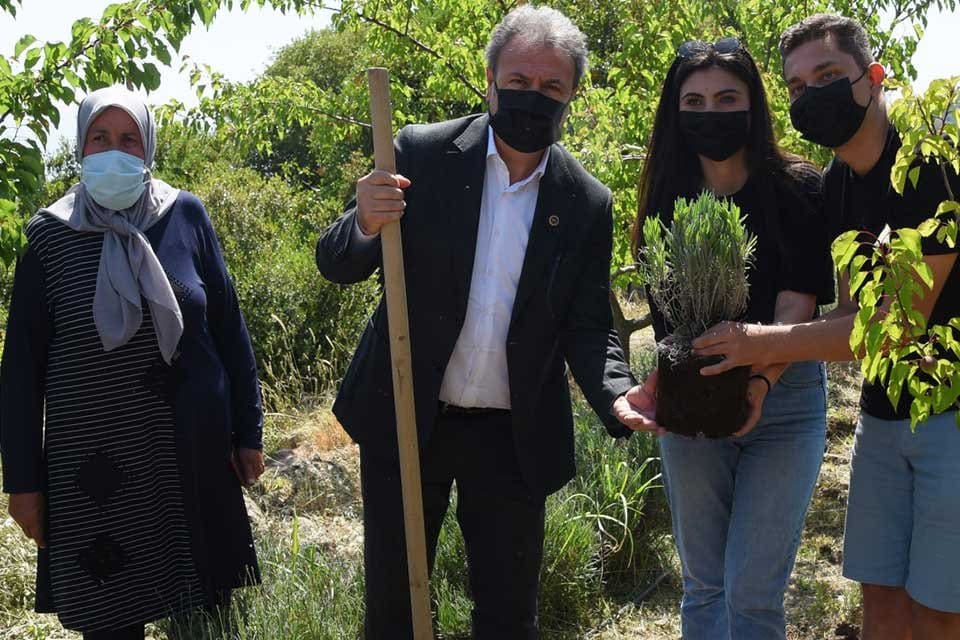 Bornova Belediyesi, Kayadibi Mahallesi&rsquo;nde bulunan Arılık&rsquo;ın yanına lavanta bah&ccedil;esi kuruyor.