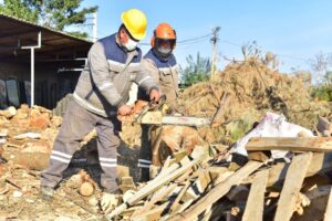 Bornova Belediyesi ağaçların gelişimini kuvvetlendirip sağlıklı hale getirmek için ilçe