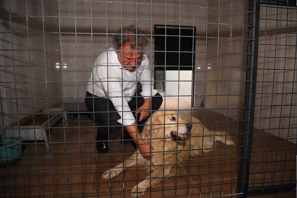 Bornova Belediyesi, sokak hayvanlarının bakımı ve tedavisine y&ouml;nelik yatırımları ve