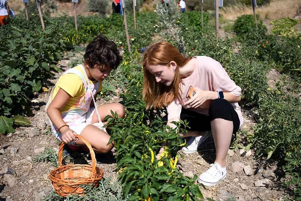 Bornova Belediyesi&rsquo;nin atalık tohumları geleceğe taşımak amacıyla kurduğu Yerel Tohum