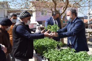 Bornova Belediyesi, tarımı desteklemek ve yaygınlaştırmak amacıyla yaptığı çalışmalar kapsamında