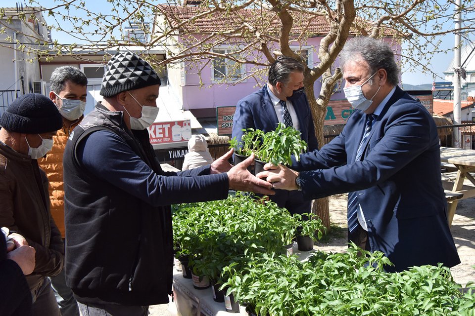 Bornova Belediyesi, tarımı desteklemek ve yaygınlaştırmak amacıyla yaptığı çalışmalar kapsamında