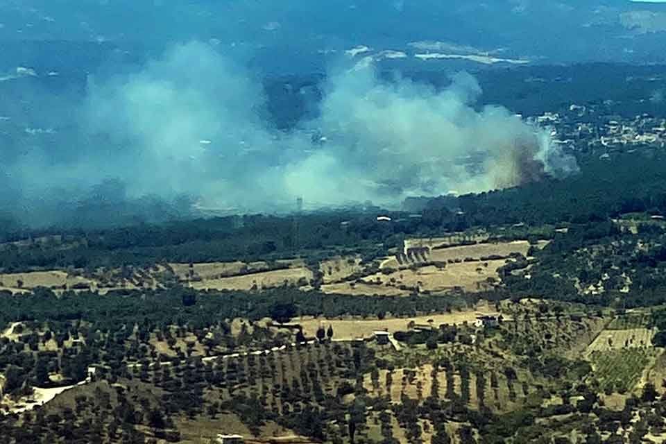 İZMİR'in Bornova il&ccedil;esinde orman yangını &ccedil;ıktı. Yangına havadan ve karadan