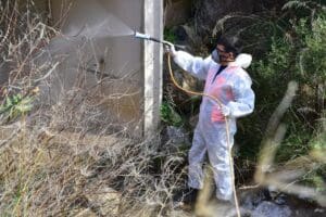 Bornova Belediyesi &ouml;zellikle yaz d&ouml;neminde ortaya &ccedil;ıkan ve u&ccedil;kun olarak