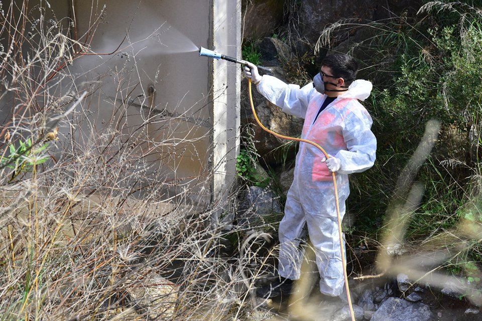 Bornova Belediyesi &ouml;zellikle yaz d&ouml;neminde ortaya &ccedil;ıkan ve u&ccedil;kun olarak