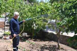 Tarımsal kalkınma hedefi doğrultusunda &uuml;reticilere tohum, fide ve eğitim destekleri