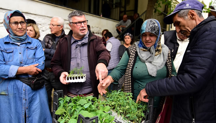 Bornova Belediyesi tarım alanında yerel üreticilere destek sağlamaya devam ediyor