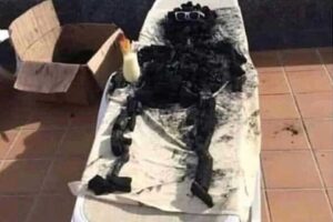 Kent genelinde bu hafta sıcaklıklarda aşırı bir yükseliş var. Termometreler