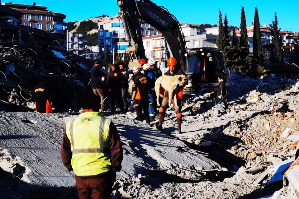 Afet b&ouml;lgesinde yaraları sarmak i&ccedil;in canla başla &ccedil;alışan Buca Belediyesi