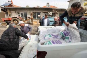 BUCA Belediyesi, bamya ve kavun üretiminde kullanılmak üzere ilçedeki çiftçilere