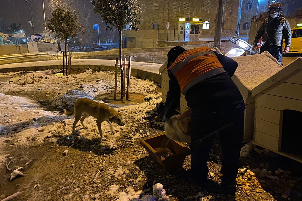 Buca Belediyesi, hafta sonu soğuk hava ve kar yağışının etkisi