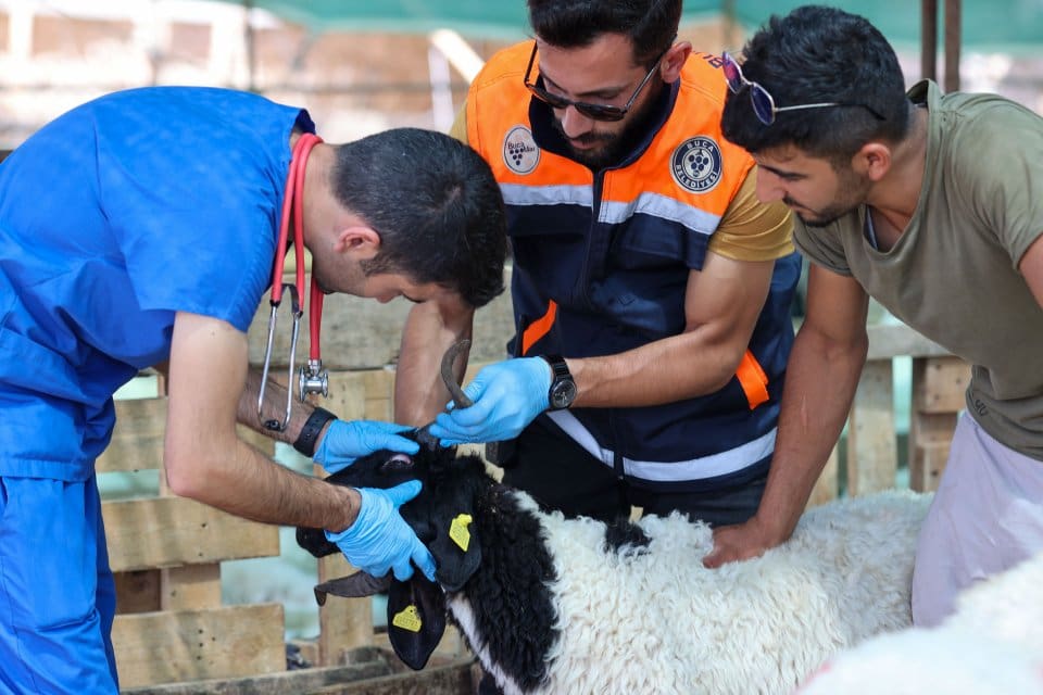 Buca Belediyesi Veterinerlik İşleri ve Zabıta M&uuml;d&uuml;rl&uuml;kleri&rsquo;ne bağlı ekipler, ortaklaşa