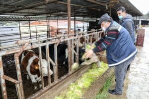 S&uuml;rd&uuml;r&uuml;lebilir kırsal kalkınma projesi ile &uuml;reticiye b&uuml;y&uuml;k destek veren Buca