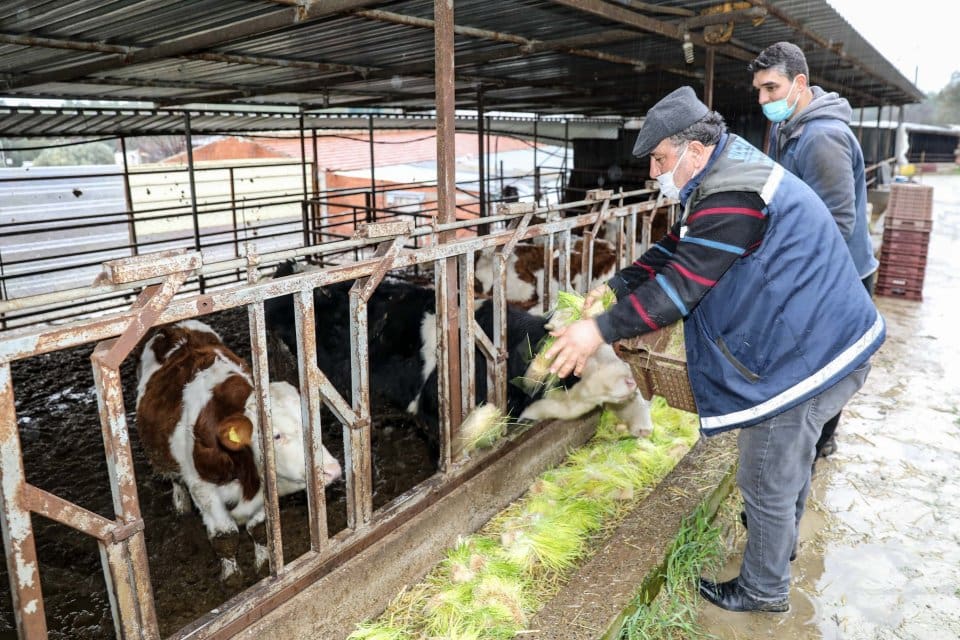 S&uuml;rd&uuml;r&uuml;lebilir kırsal kalkınma projesi ile &uuml;reticiye b&uuml;y&uuml;k destek veren Buca