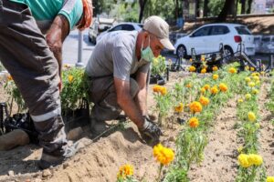 Yeşil&nbsp; bir Buca i&ccedil;in park ve bah&ccedil;elerde bakım &ccedil;alışmalarına ara