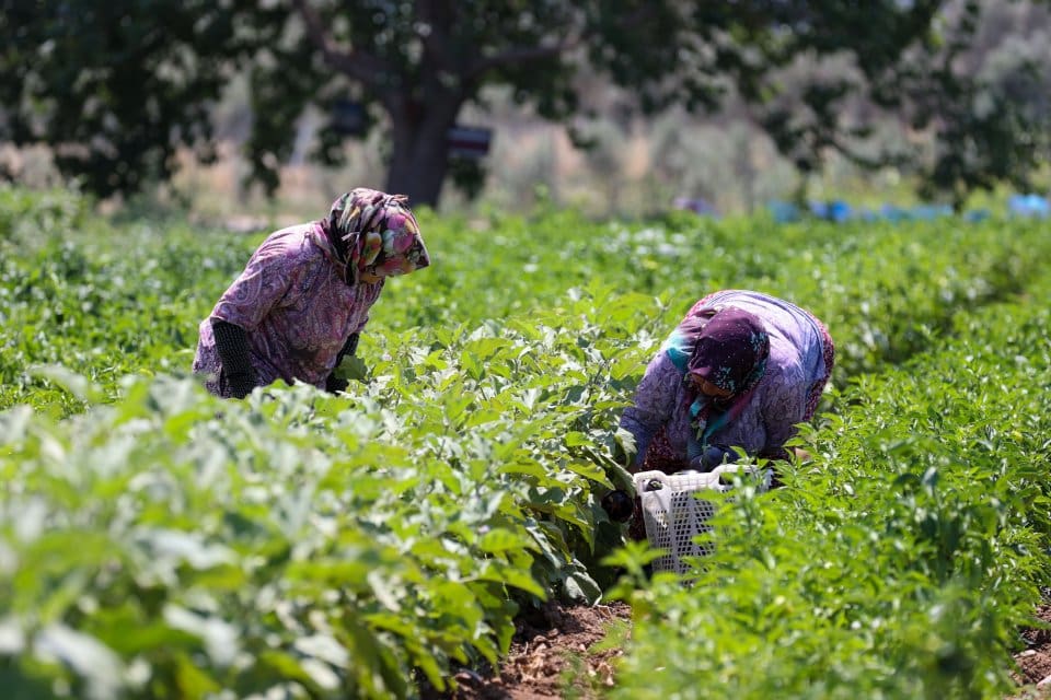 ​S&uuml;rd&uuml;r&uuml;lebilir kırsal kalkınma projesini Buca halkı ile birlikte hayata ge&ccedil;iren