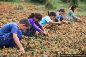 Bug&uuml;n 12 Haziran D&uuml;nya &Ccedil;ocuk İş&ccedil;iliği İle M&uuml;cadele G&uuml;n&uuml;. İş&ccedil;i