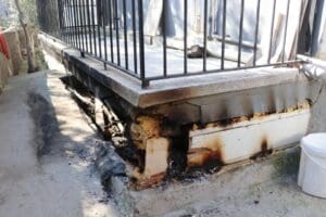 Denizli'de, 'Paşa' isimli 3 yaşındaki av k&ouml;peği, kul&uuml;besinde, kimliği belirsiz