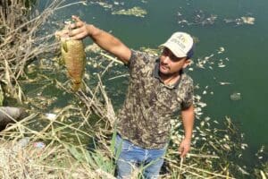 Aydın'ın Ko&ccedil;arlı il&ccedil;esinde B&uuml;y&uuml;k Menderes Nehri&rsquo;nin eski yatağında suların aşırı