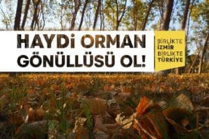 &nbsp; İzmir B&uuml;y&uuml;kşehir Belediyesi kentin yeşil &ouml;rt&uuml;s&uuml;n&uuml; &lsquo;yangınlara diren&ccedil;li&rsquo; kılacak
