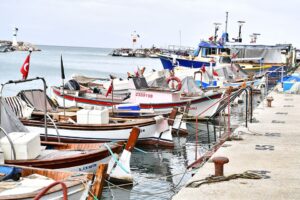İzmir Büyükşehir Belediyesi, su ürünleri kooperatiflerine bağlı küçük ölçekli balıkçılara