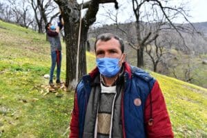 İzmir B&uuml;y&uuml;kşehir Belediyesi, K&uuml;&ccedil;&uuml;k Menderes havzasının &ouml;nemli gelir kaynaklarından kestane